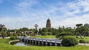 BB贝博艾弗森官网 义马绿化有限公司石牌苗圃